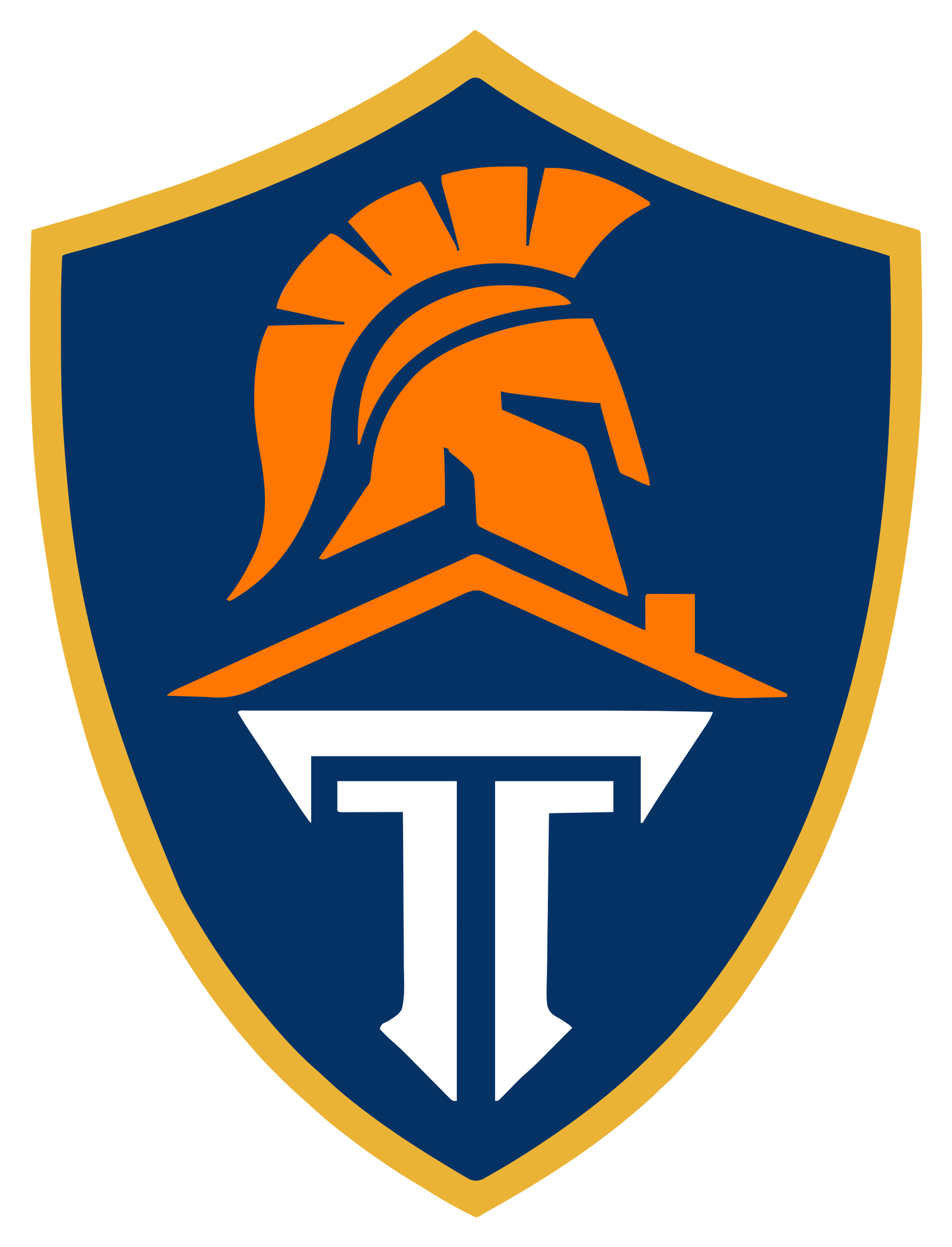 Titán Premium Movers Shield